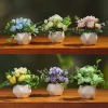 Wholesale European-style simple geometric artificial flower ornaments, living room dining table potted decorative items, home green plants, bonsai and artificial flowers Application Scenario